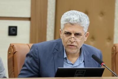 زاهدیان نژاد: تشکلهای حرفهای گردشگری فارس تقویت میشوند