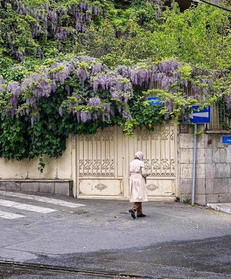  این خانه قدیمی در تهران، یک باغچه سرسبز روی دیوارهایش دارد! - چیدانه