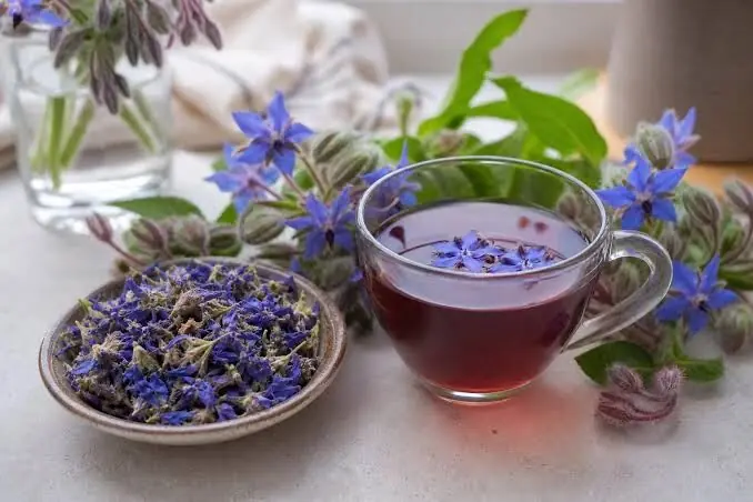 چرا گلگاوزبان حریف اضطرابهای ما نمیشود