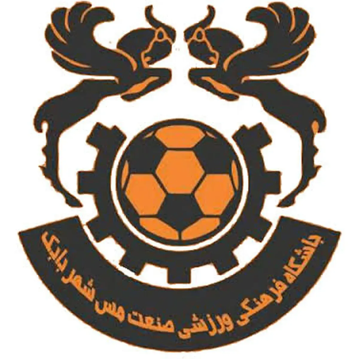 یازده بازیکن مس شهربابک مشخص شدند