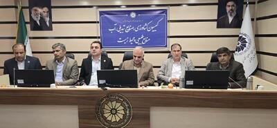 معاون وزیر کشاورزی: در جنگ تحمیلی اخیر کمبودی در تامین کالاهای اساسی وجود نداشت