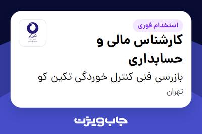 استخدام کارشناس مالی و حسابداری در بازرسی فنی کنترل خوردگی تکین کو