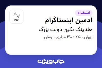 استخدام ادمین اینستاگرام در هلدینگ نگین دولت بزرگ