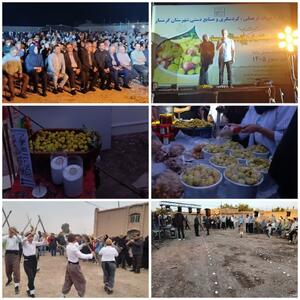برگزاری اولین جشنواره انجیر شهرستان گرمسار