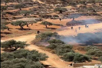حمله شهرکنشینان به روستای «قصره» در کرانه باختری