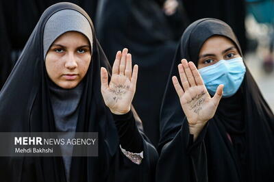 دهشیری: بیحجابی و برهنگی یک توطئه حسابشده دشمن است
