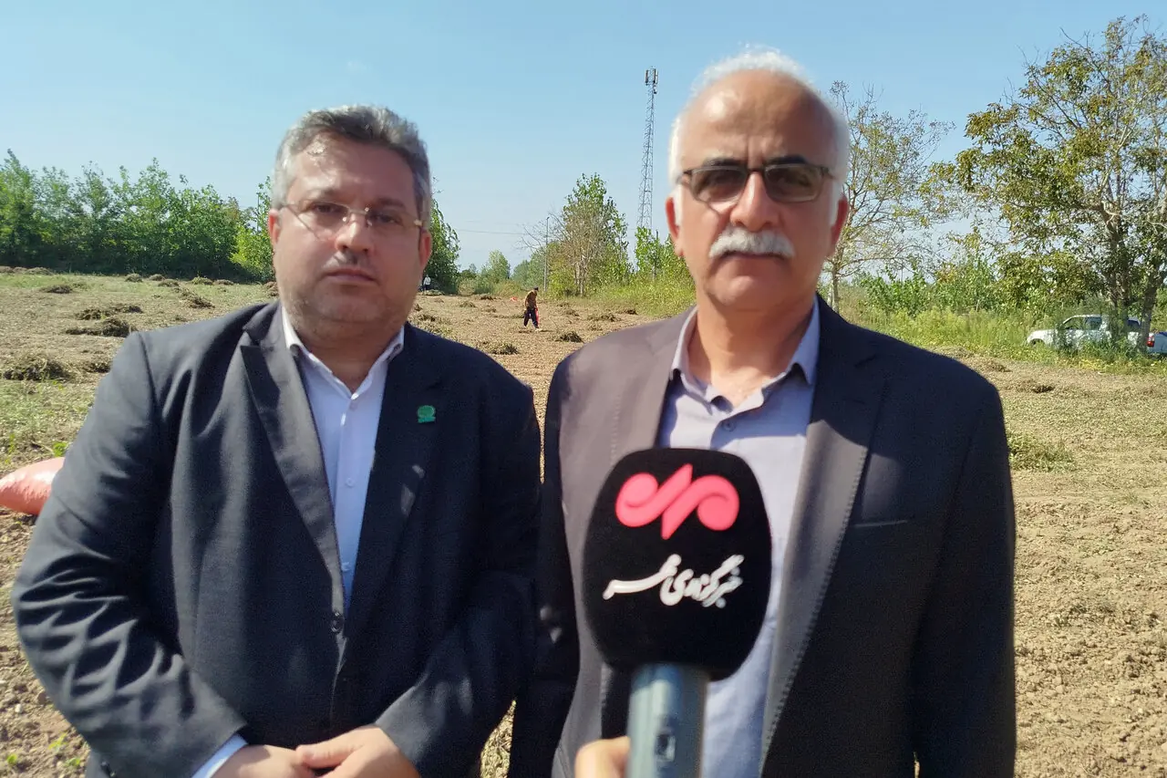 پارسافر: گیلان رتبه دوم کشور را در تولید بادامزمینی دارد