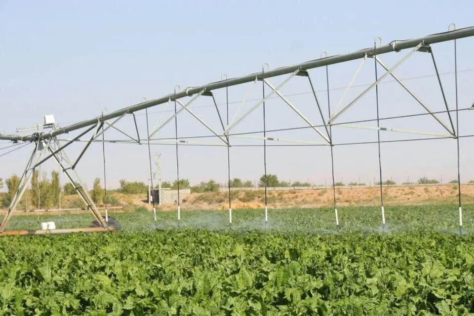 توسعه سامانههای نوین آبیاری در اولویت جهاد کشاورزی است