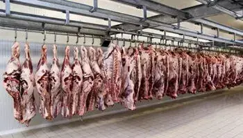  عرضه گوشت قرمز  در تیر ماه به ۳۷٬۳۱۲ تن رسید