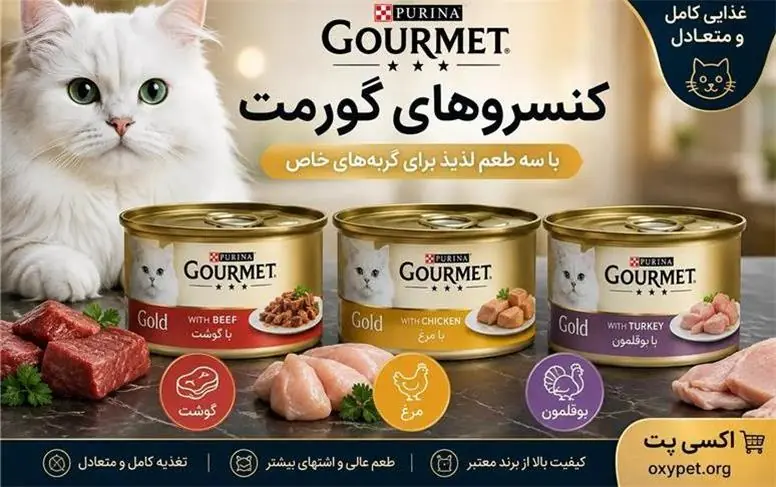  کنسرو گورمت با سه طعم گوشت، مرغ و بوقلمون؛ کدام را برای گربه انتخاب کنیم؟