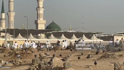 تصاویری از مسجد پیامبر رحمت(ص)