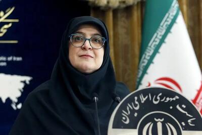  سخنگوی دولت: القای ناکارآمدی دولت، تضعیف سرمایه اجتماعی است/ ناامیدسازی بخشی از طراحی دشمن است