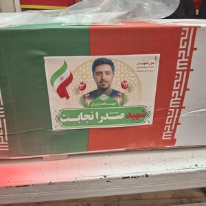  میخواستم برای آخرین بار برادرم را ببینم... + فیلم