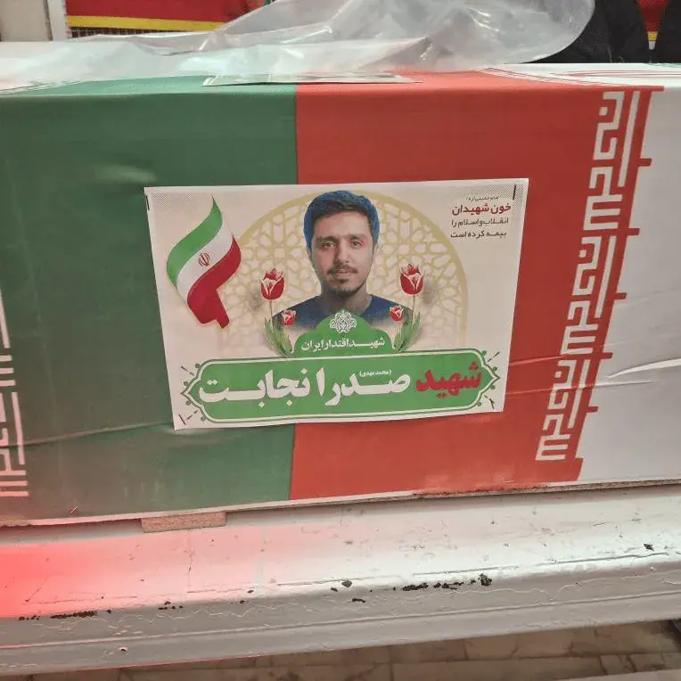  میخواستم برای آخرین بار برادرم را ببینم... + فیلم