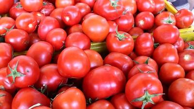  عوارض و فواید مصرف گوجه فرنگی