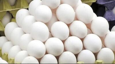  کشف ۵۰ تن تخم مرغ احتکار شده در قم