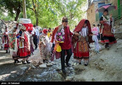 عروسی کرمانجها؛ شکوهی ماندگار در دامنههای هزارمسجد - تسنیم