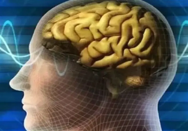 زنگ خطر آلزایمر را بشناسید؛ از فراموشی تا اختلال در تصمیمگیری - تسنیم