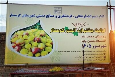 فتح بازار گردشگری ایران با انجیر گرمسار - تسنیم