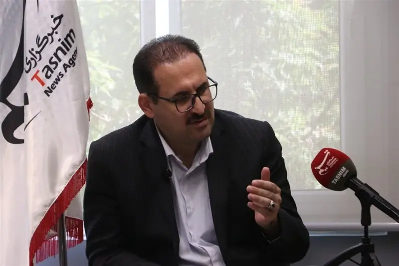 مشاغل خانگی نیازمند عبور از تولید سنتی و برندسازی است - تسنیم