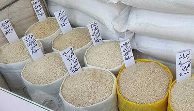 بازار برنج عجیب شد | آخرین خبر