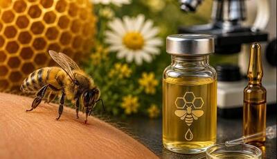 ظرفیتهای «زهر زنبورعسل» برای درمان | آخرین خبر