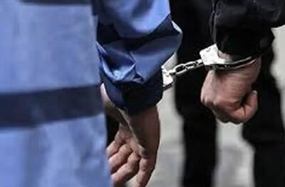  پلیس: دستگیری عامل ارتباطی شبکه‌های معاند در تهران
