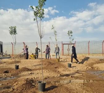 کاشت ۲۰۰ اصله نهال در بوستان خلیجفارس مهرگان