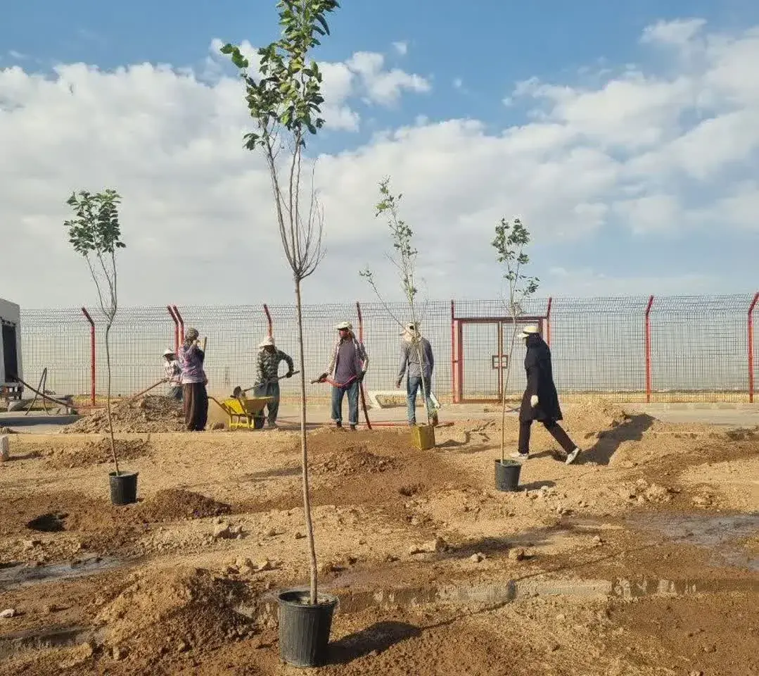 کاشت ۲۰۰ اصله نهال در بوستان خلیج‌فارس مهرگان