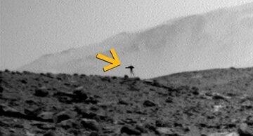  مشاهده یک عروس دریایی روی مریخ!