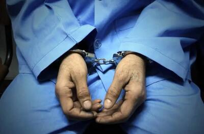 پلیس: دستگیری عامل ارتباطی شبکههای معاند در تهران/ متهم با جمعآوری اطلاعات جهتدار و انتقال آنها به رسانههای خارج از کشور، در ایجاد فضای تشویش و نگرانی در جامعه نقش داشته