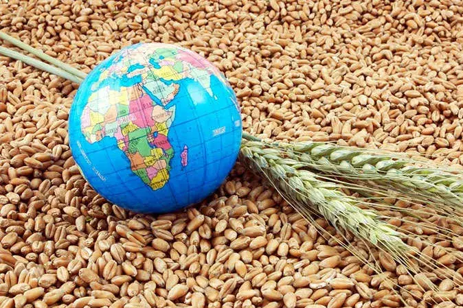 وال استریت ژورنال: جهان در آستانه یک بحران غذایی/ سهگانه کنترل ایران بر تنگه هرمز، جنگ اوکراین و دستکاری بازار جهانی کودهای کشاورزی از سوی چین، چگونه شوکهای غذایی را به ارمغان میآورد؟