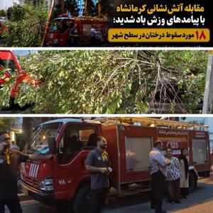  باد شدید در کرمانشاه حادثه‌ساز شد؛ سقوط ۱۸ درخت در شهر