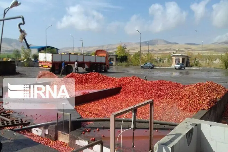 پایان خامفروشی در همدان؛ ۴۴۴ واحد صنایع تبدیلی حلقه اتصال مزرعه به سفرهها