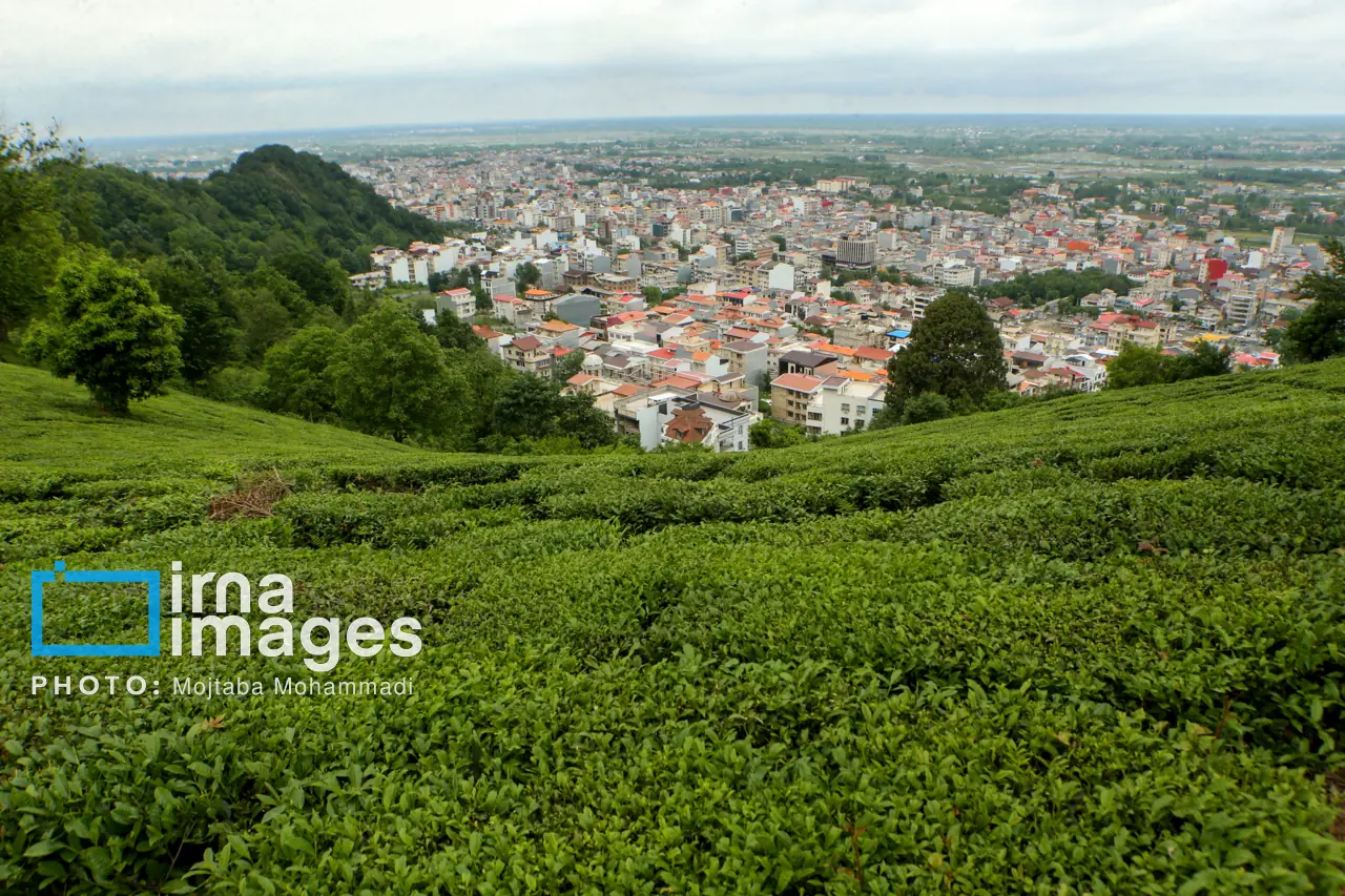 ۱۶ میلیارد تومان پروژه بخش رودبنه لاهیجان بهره برداری شد