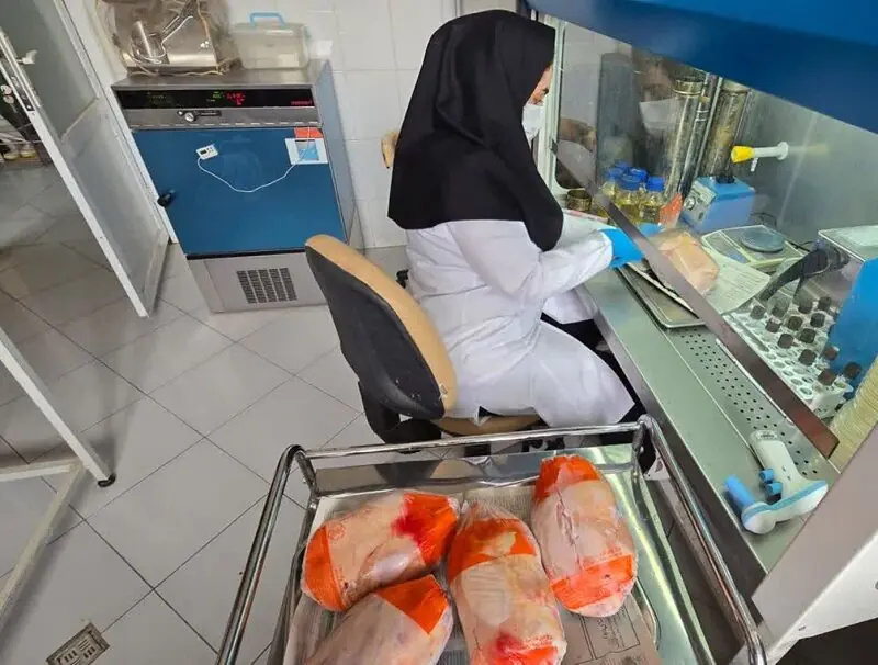 مدیرکل دامپزشکی آذربایجانشرقی: هیچ گوشت آلودهای در استان وارد یا توزیع نشده است