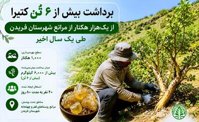  برداشت بیش از ۶ تُن کتیرا از مراتع فریدن