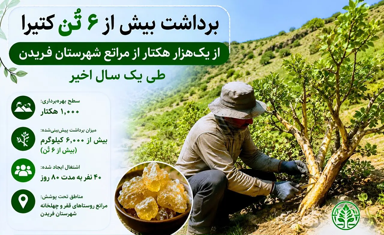 برداشت بیش از ۶ تُن کتیرا از مراتع فریدن