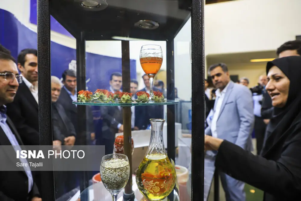 پایداری دانشبنیانها؛ ضرورتی راهبردی برای اقتصاد کشور