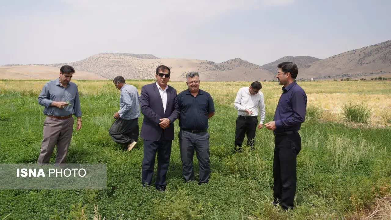 آمایش سرزمین و مدیریت آب، کلید جهش کشاورزی ایلام