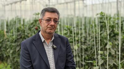  ببینید| خیز هلیلان برای تغییر سیمای کشاورزی/ پرونده بزرگترین گلخانه منطقه روی میز استاندار ایلام باز می‌شود