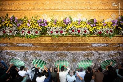  عکس/ ضریح اباعبدالله گل‌آرایی شد