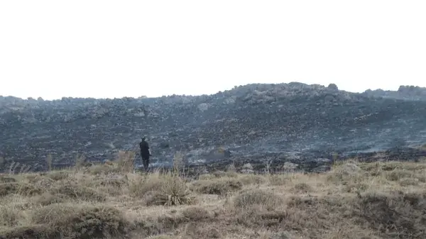 آتشسوزی مراتع تالاب نئور مهار شد