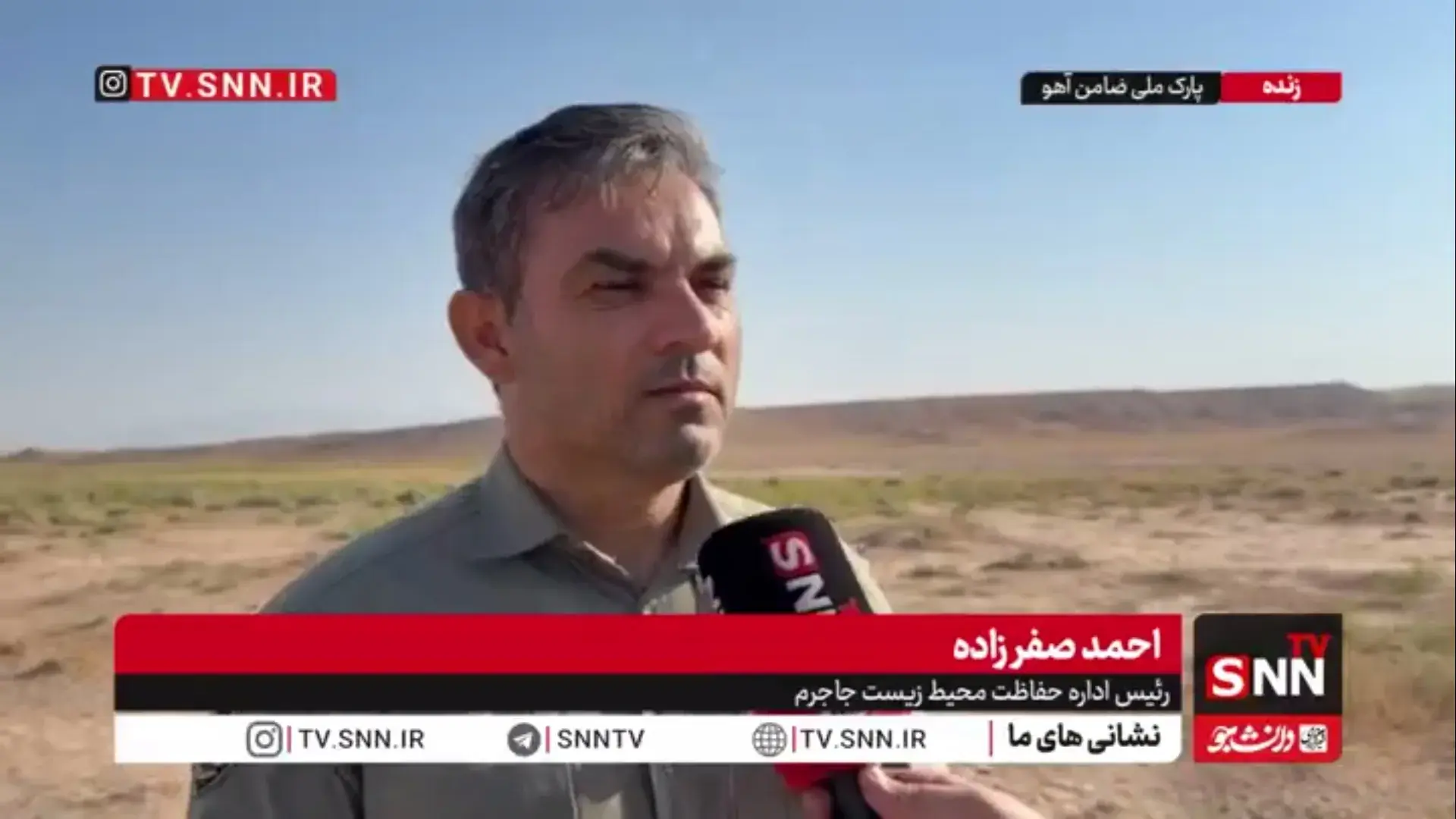  صفرزاده: وضعیف یوزپلنگ ایرانی اصلا مطلوب نیست/ جمعیت یوز ها کمتر از ۳۰ قلاده برآورد می شود