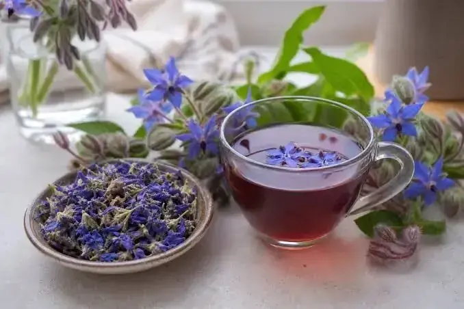 چرا گلگاوزبان حریف اضطرابهای ما نمیشود؟