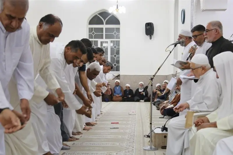 جشنهای میلاد پیامبر (ص) در استان بوشهر نماد اتحاد و همدلی - تسنیم