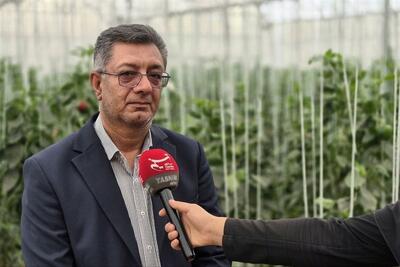 موانع بزرگترین گلخانه هلیلان با دستور استاندار رفع میشود - تسنیم