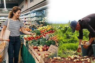  چالش امنیت غذایی در ترکیه و لزوم تجدید نظر در سیاست گذاری کشاورزی - تسنیم