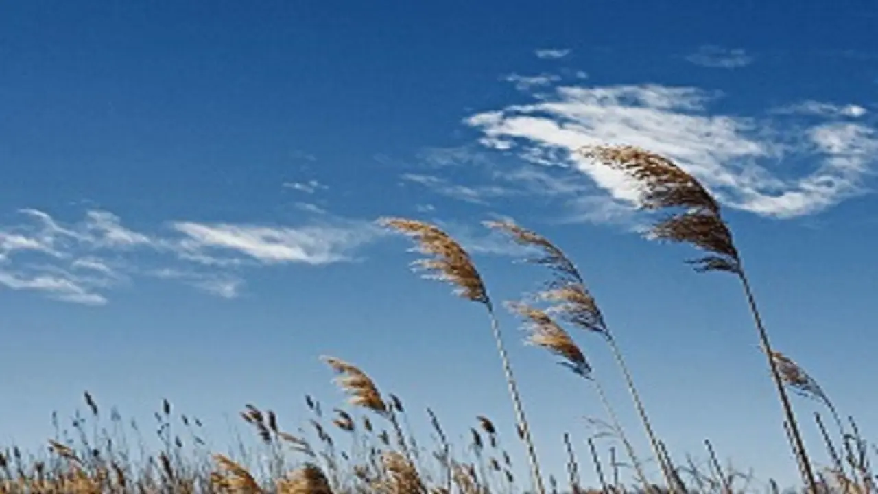  وزش باد شدید، گرد و غبار و کاهش محسوس دما