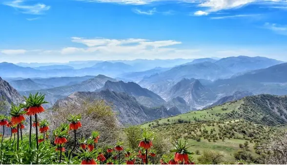 اینجا در تابستان دما به ۱۰ درجه رسید! | آخرین خبر